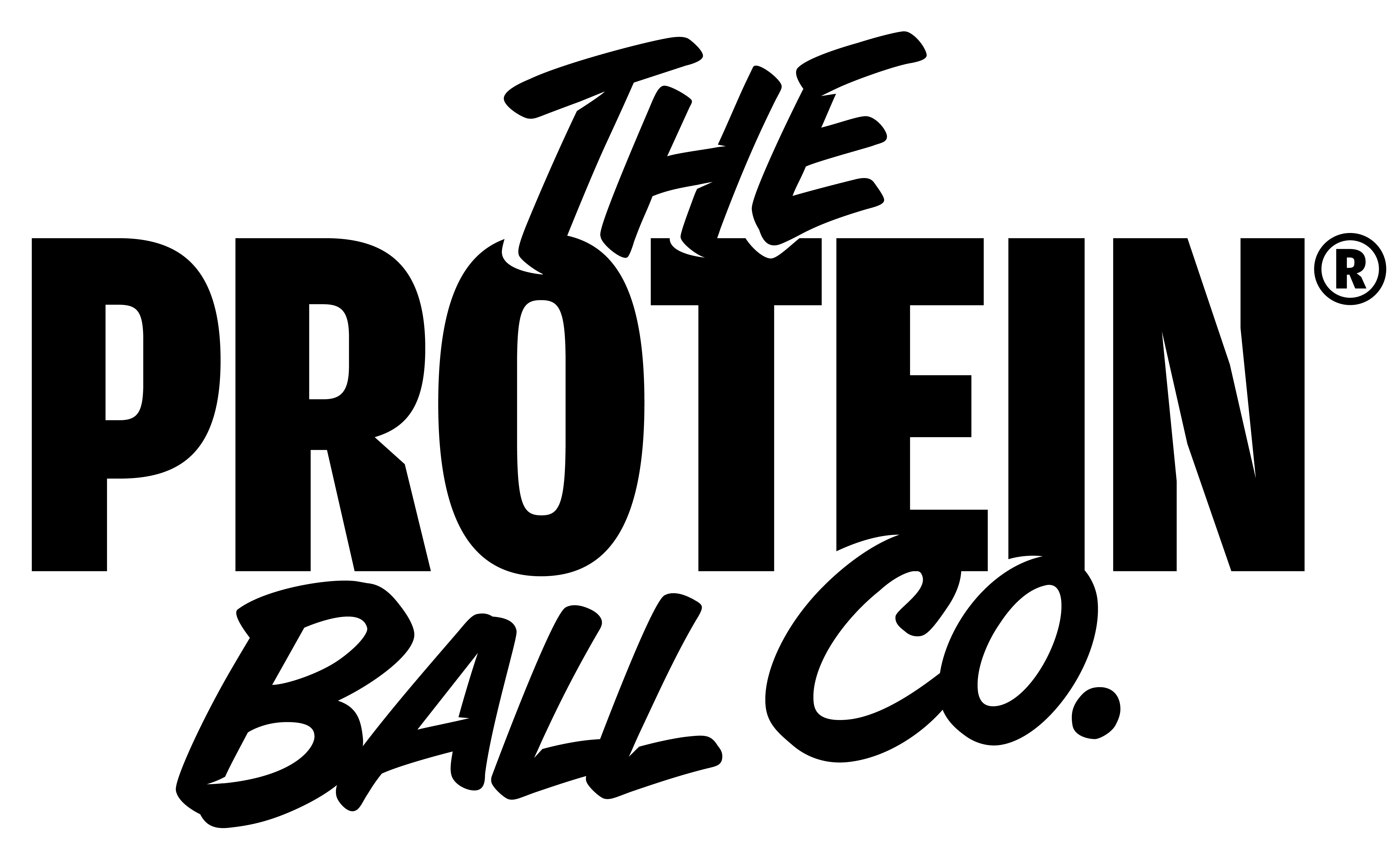 The Protein Ball Co.
